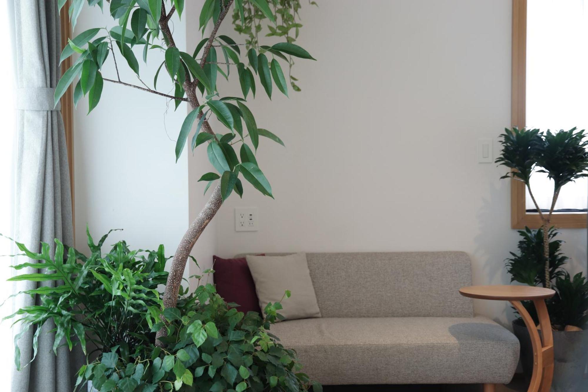 Hotel Noum Osaka Phòng bức ảnh